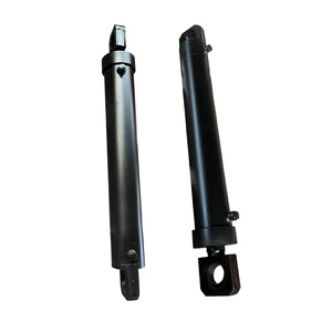 Chinese Technology With The Best Price Electric Hydraulic Cylinders Double Acting Piston Hydraulic Cylinder