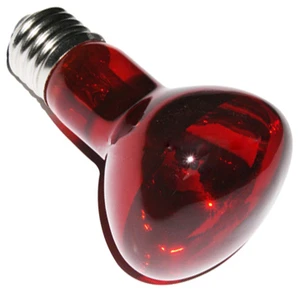 50/75/100/15Watt Heat Lamp Red Night Infrared Pet Products Reptile Light Bulbs