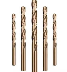 Straight Shank Drill Bit Hss M35 Screw Drill Bits for Drilling Cast Steel