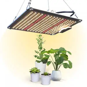 Mobiclinic 100W White LED Indoor Plant Grow Light 10 Brightness Levels Dimming Function 3000K Color 480W Efficiency Growlight