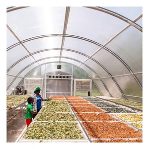 Stocked 8x20m Tunnel Greenhouse Sun Solar Drying Greenhouse Dryer For Fruits Herbs Flowers