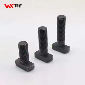 Projects M4 M8 M16 M24 Grade 4.8 8.8 10.9 12.9 High Tensile Standard Fasteners High Quality T Bolts