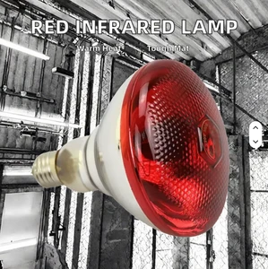 220V 110V Farm Instant Infrared White Food Warmer Light Bulb Day/Night 24/7 Chicken Warming Lamp Chicks Pets Reptile