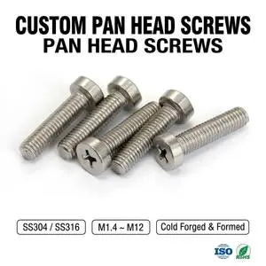 Custom M2 Pan Head Phillips Screws Metric Fine Thread ISO Class 10 SS304 SS316 Stainless Steel Zinc Plated Black Oxide Machine