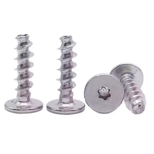 Manufacturer Screws Production M6 Torx Self Tapping Screw Low Head or Flat Head Self Tapping Screw