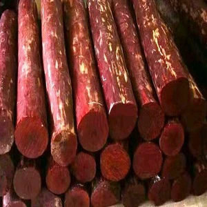 Premium Quality Red And White Sandal Wood Logs For Aromatherapy And Art Buy Now Wholesale Price Fast Delivery Across All Regions