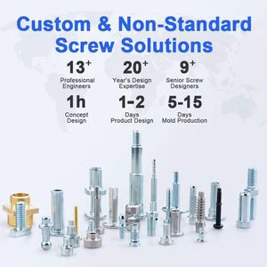 Professional Manufacturer Versatile Metric Fasteners Custom Stainless Steel Hex Cross Slot Torx Non-standard Screws Standard