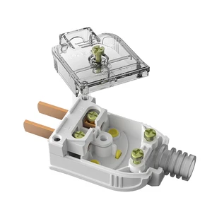 SHARE Low Price 10A 250V Factory Price Power Charging 2 Pin Pure Copper Male Electric Plug Fire-Resistant PC Panel 15-Year