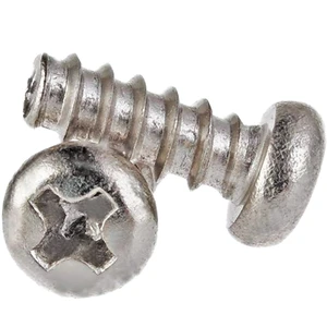 304/316 PT Thread Round Head Self Tapping Screws for Plastic