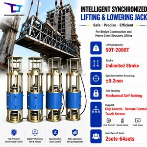 Intelligent Synchronous Lifting and Lowering Jack System Full Set for Synchronized Lifting Project