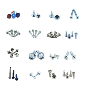 High Quality Custom Stainless Steel Self Tapping Screw All Kinds of Screw