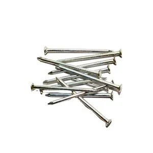For Iron Nails Polished Bright Nails in Various Sizes (1