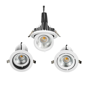 Lighting Products 20W LED COB Retractable and Rotating Gimbal Downlight