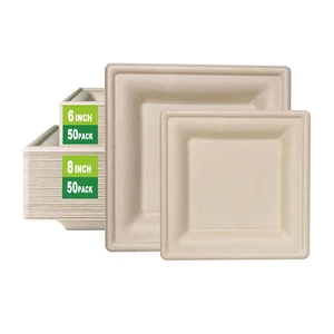 Biodegradable Disposable Sugarcane Bagasse Plate Tableware for Camping for Eco-Friendly Outdoor Adventures