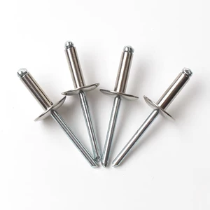 ISO 15979:2002 Factory Wholesale Extra Large Wide Head Pop Rivets, Open Type 304 Stainless Steel Blind Rivets with Steel Mandrel