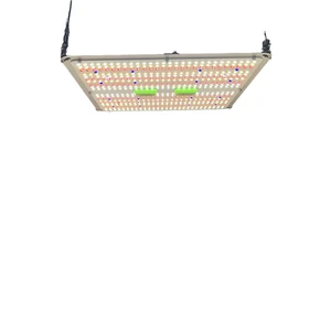 Ultraviolet Light Plant Grow Lights 150W 200W 400W for Indoor Planting Where Plants Do Not Receive Sufficient sunlight
