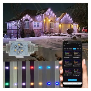 Twinklight Christmas Wireless Led Light Para Casa Permanent LED Aluminium Track Dot Point Control Outdoor Pixel Light