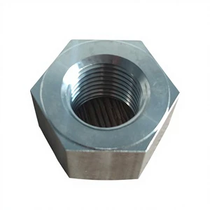 OEM/ODM High Temperature Resistance Steam Turbine Hex Nut with Motor for Thermal Power Plant