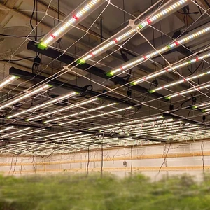 Full Spectrum Daisy Chain Vertical Farming 645W 4by4 ft Dimmable Led Grow Light Fixture for Indoor Plants