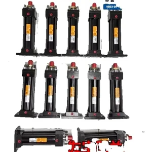 HYDLIC hydraulic cylinder MOB30*50- *100- 40*- *- *1- *200- *-