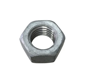 Hex Nuts