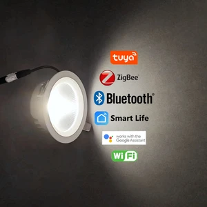 New Modern Design 90mm Cutout Round Slim IP44 Rust Prevention 30W 40W COB SMD LED Downlight Custom Dimmable CCT Switch For Hotel