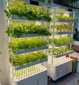 Smart Hydroponic System can Adjustable LED Grow Light & Auto Water Cycle Timer Ideal for Blueberry, Lettuce, Herb Indoor Growing