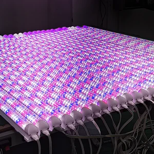 Customize Spectrum Hydroponic System Veg Clone Seedling 600 1200 1500mm Plant T8 LED Grow Light