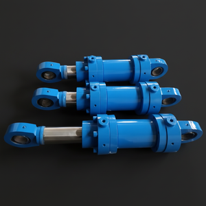 CE Certified Double Acting Hydraulic Cylinder with Pump High Strength Steel 30kg China for Industrial Press Machine