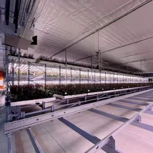 SANAI LED Light Manufacturer Large Size Foldable Dimmable Full Spectrum New Folding Plant Growth Lamp