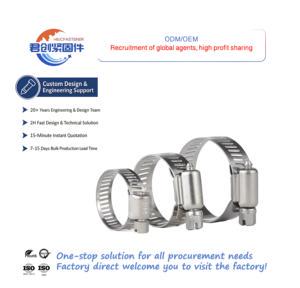 304 201 Stainless Steel Heavy-Duty Throat Clamp Tube With Bolts Mini Hose Clamp Mini Clamp Type