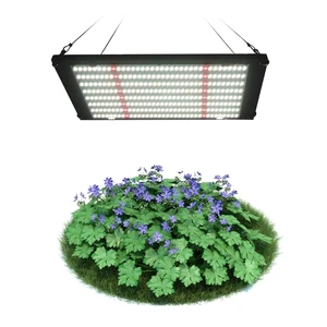 2022 Best Plant Grow Light Newest LM301b for Indoor Plants Led Grow Light Full Spectrum