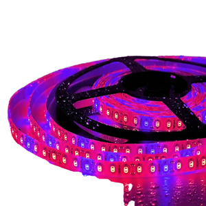 Plant Grow Light Strip 5050 SMD IP65/20 Waterproof Full Spectrum LED Copper 10W Indoor Plants Greenhouse Aquarium Flowers Veg