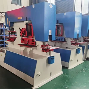 Fully Automatic Hydraulic Universal Multi Cutter 65-250 Ton Metal Cutting Shearing Punching Machine for Channel Angle Pipe Steel