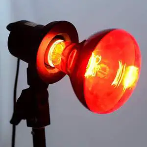 BONGBADA Red Light Single Bulb Physiotherapy Infrared Lamp Infrared Heat Lamp Health