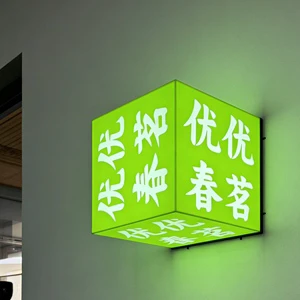 Custom Wall Mounted Acrylic LED Sign Commercial Advertising Light Box for Hotel Reminders Mall Shop Logo Display