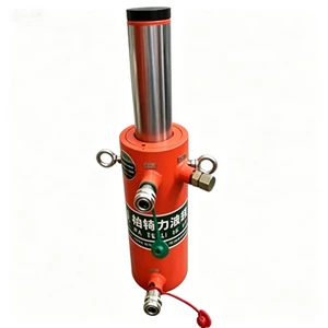 50T Double-acting Hydraulic Cylinder Jack for Sale