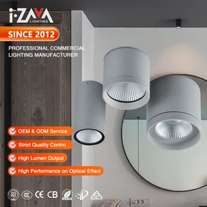 Simple Fashion Decorative Indoor Living Room Modern Commercial Engineering Aluminum IP65 Led Surface Mounted Downlight