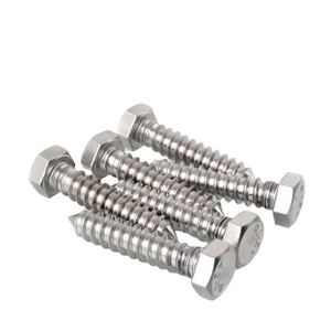 Hexagon Head Self-Tapping Screw Stainless Steel Plating Finish Outer Hexagon Wooden Teeth DIN571 for Wooden Metric