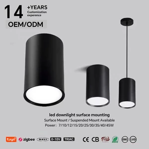 High CRI 90+ LED Surface Mount Downlight 7W-45W Triac Dimmable No Cutout Ceiling Light for Hotel Office Residential Projects