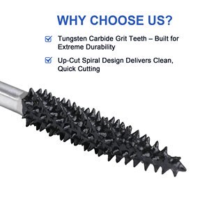 Tungsten Carbide High Hardness OEM Extreme Coarse Rotary Burr Set 1/8