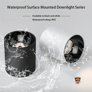 Custom 12W 18W 24W 36W IP65 LED Cob Downlights Waterproof Aluminum Anti-Glare Black Surface Mounted 120V Modern Home Office