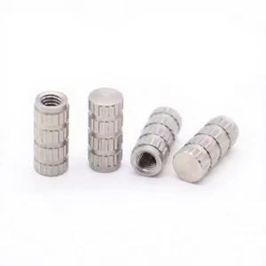 Turning Parts Stainless Steel Threaded Round Bushing for Auto Parts Closed Insert Nuts for Auto Parts