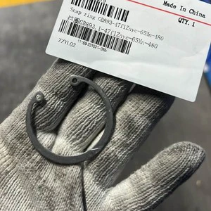 4019010279 LGMG Wholesale Popular Retaining Ring for LGMG Machinery