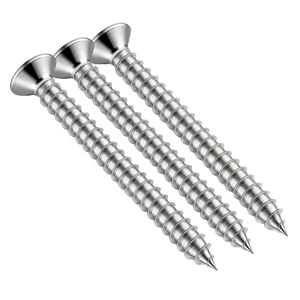 Stainless Steel 304 Countersunk Head Self Tapping Screws for Furniture and Construction