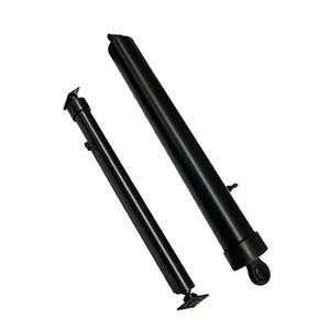 Automobile Displacement Hydraulic Cylinder for Mini Excavator/Dump Truck/Fork Lift/Trailer