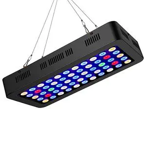 Intelligent 165W Aquarium LED Lighting Dimmable COB Chip Fish Tank Light for Coral Reef and Fish IP65 Rating