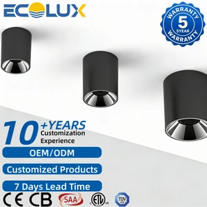 Ecolux CE ETL SAA 10W 18W 30W Black Cylindrical Surface Mounted Led Down Lights Indoor Hotel Corridor Anti Glare COB Downlight