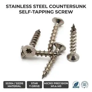 OEM Custom Precision Micro Stainless Steel SS304 Countersunk Self Tapping Screw M1.4 M2 M3 Torx Flat Head Black Zinc Plated