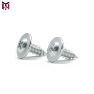 Hot Selling Pan Head Stainless Steel Self-Tapping Screws Washers DIN Standard Grade 8.8 Zinc Plated for Metalworking Machinery